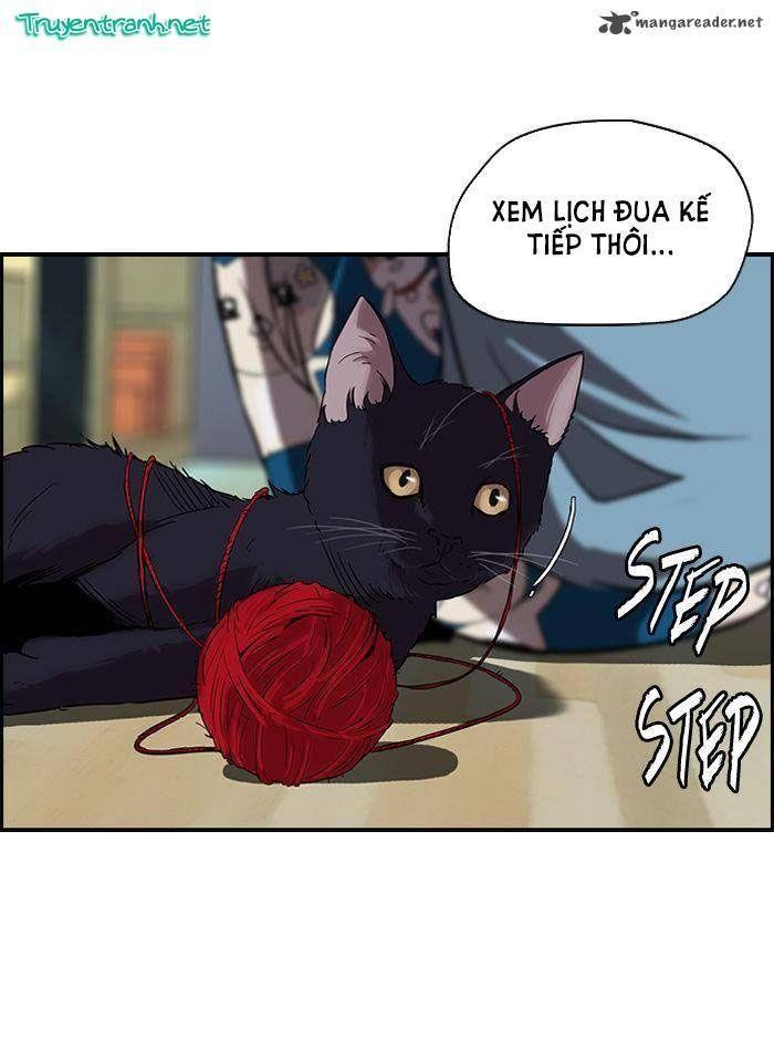 wind breaker chapter 77 51