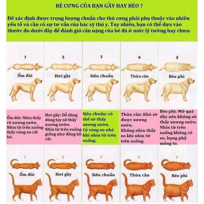 Thức ăn hạt mèo - Thức ăn Me-O cho mèo lớn vị Cá Ngừ 1,2kg