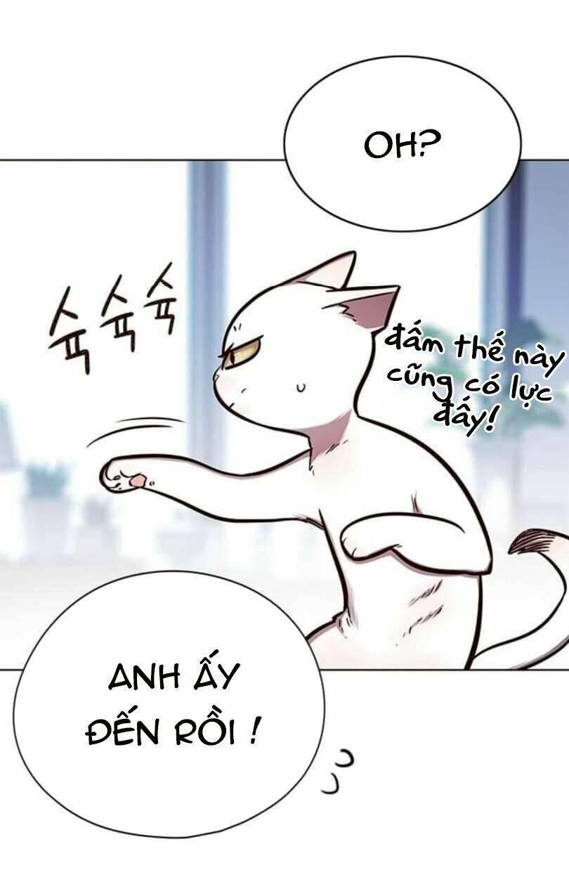 biến thân thành mèo chapter 144 24