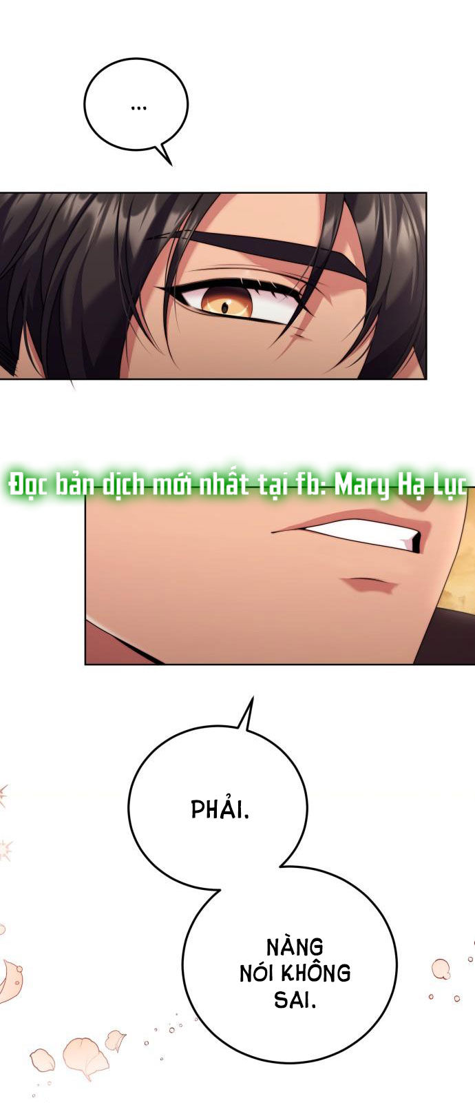 tôi sẽ ly hôn với người chồng bạo chúa chapter 22.2 1