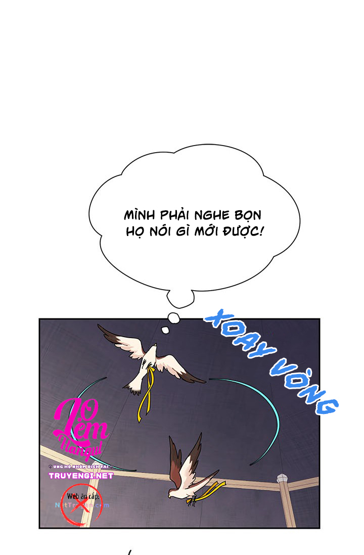 công chúa của loài chim chapter 22 81