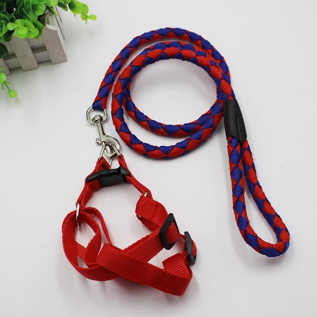 Dây dắt chó đi dạo - size từ nhỏ tới to