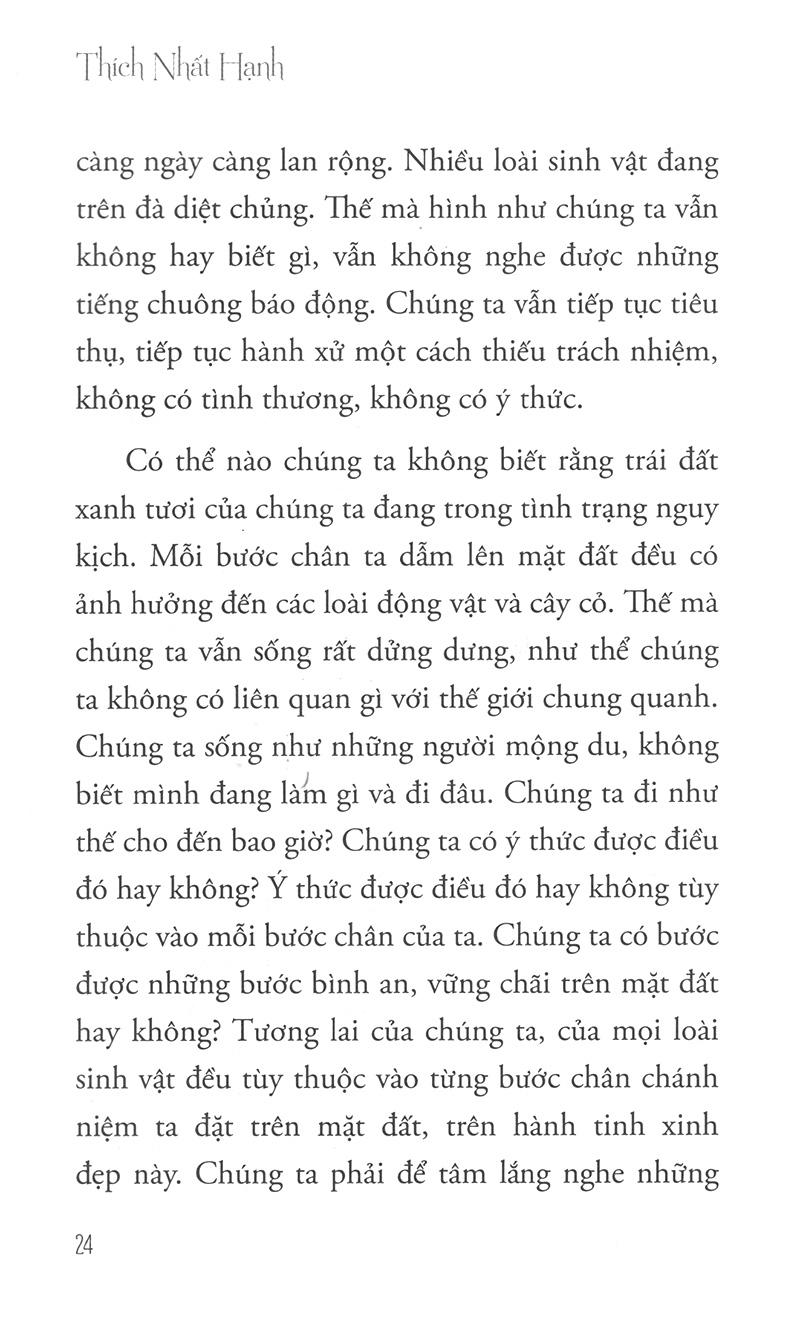 Sách Hướng Đi Của Đạo Bụt Cho Hòa Bình Và Sinh Môi (Tái Bản 2020)
