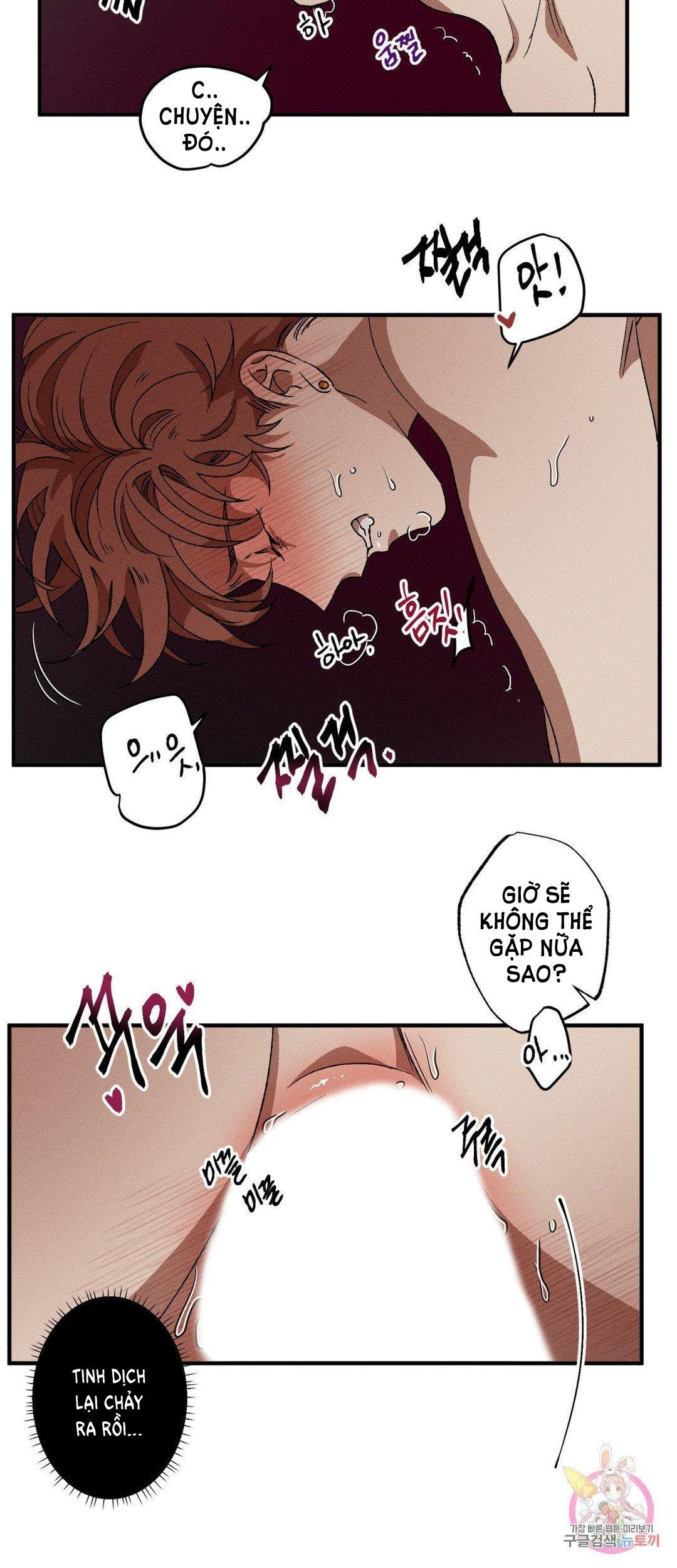 bẫy kép chapter 31.1 10