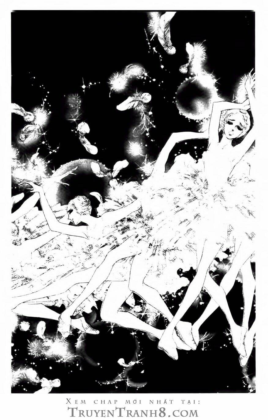 swan - vũ khúc thiên nga chapter 83 20