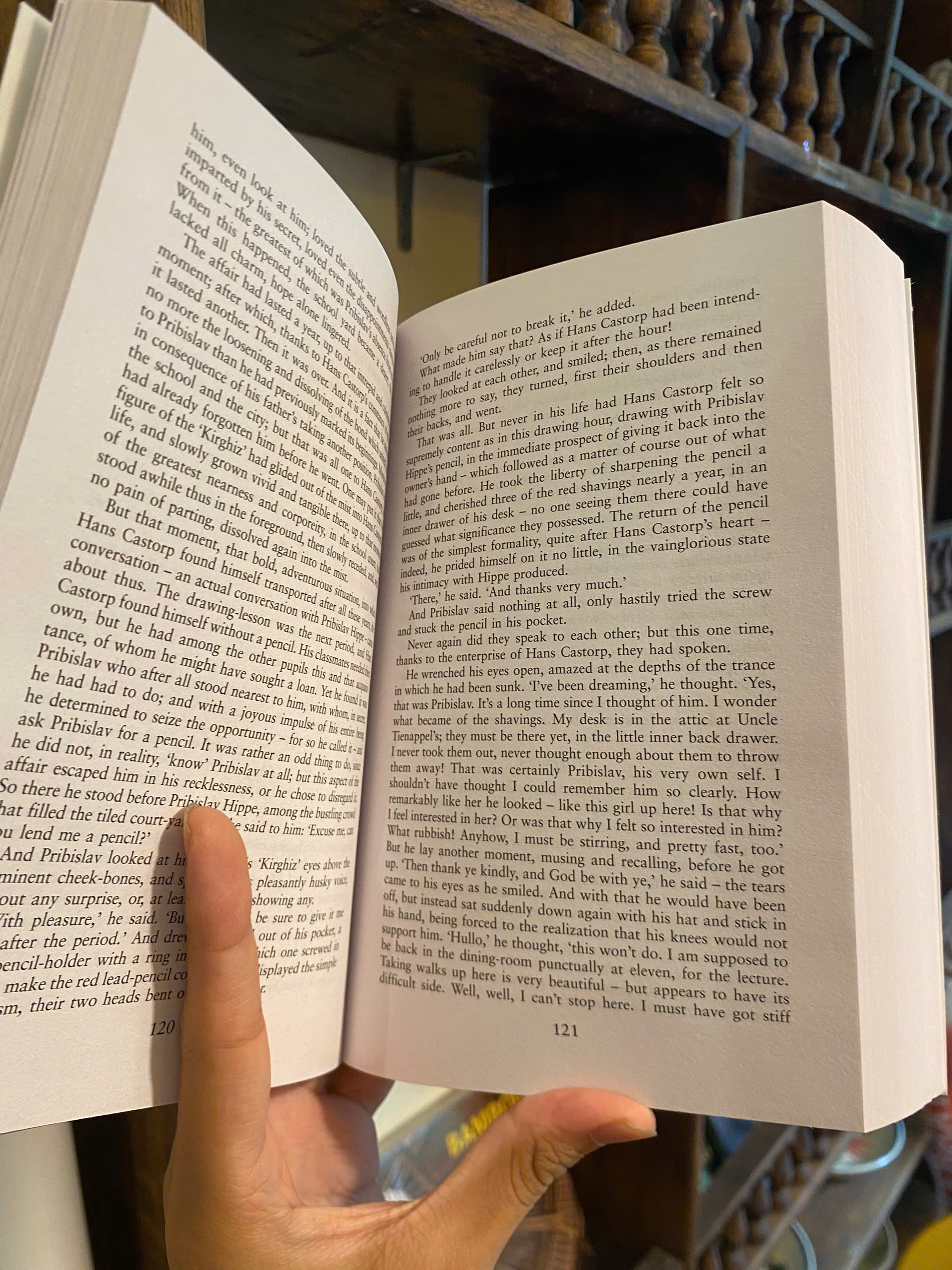 Sách - The Magic Mountain by Thomas Mann | Fiction / Classics / German Literature / Sách Ngoại văn