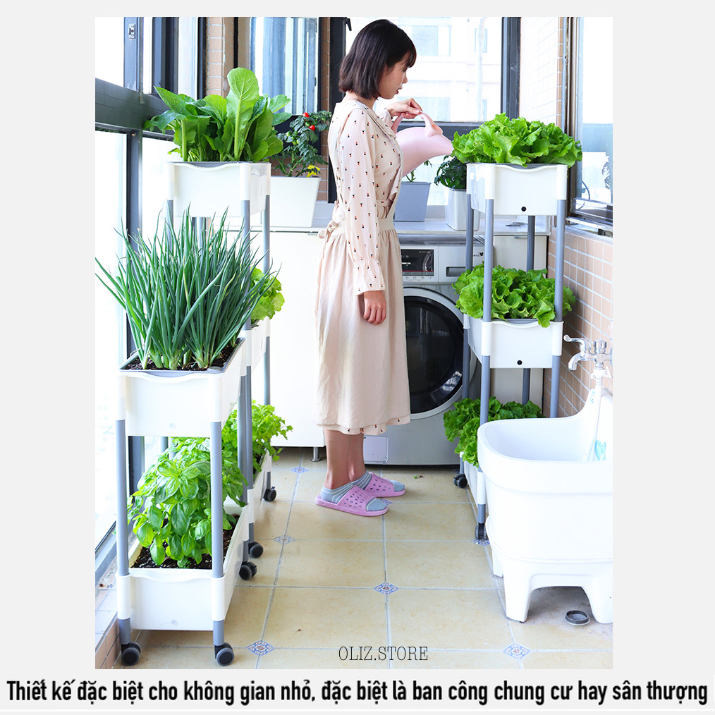 Chậu trồng rau Oliz D202. Chậu trồng rau thông minh tự dưỡng, có bánh xe di chuyển, phù hợp nhiều không gian