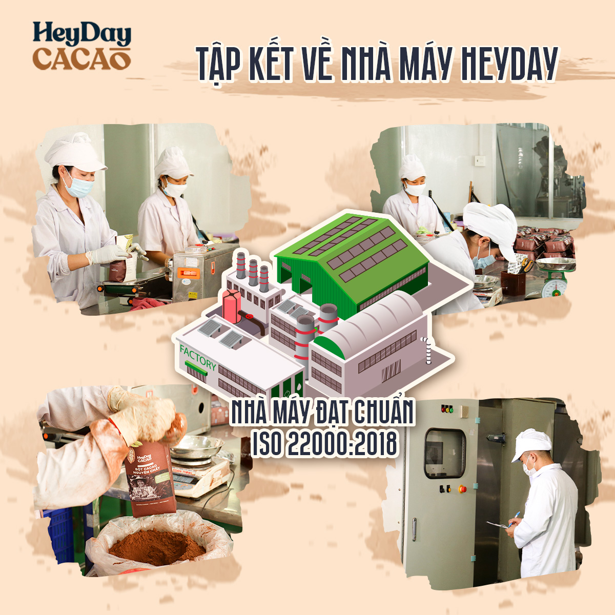 Bột cacao nguyên chất 100% Việt Nam - Dòng Balanced phổ thông túi 250g - Chuyên dùng làm bánh, pha chế cho quán cà phê - Heyday Cacao
