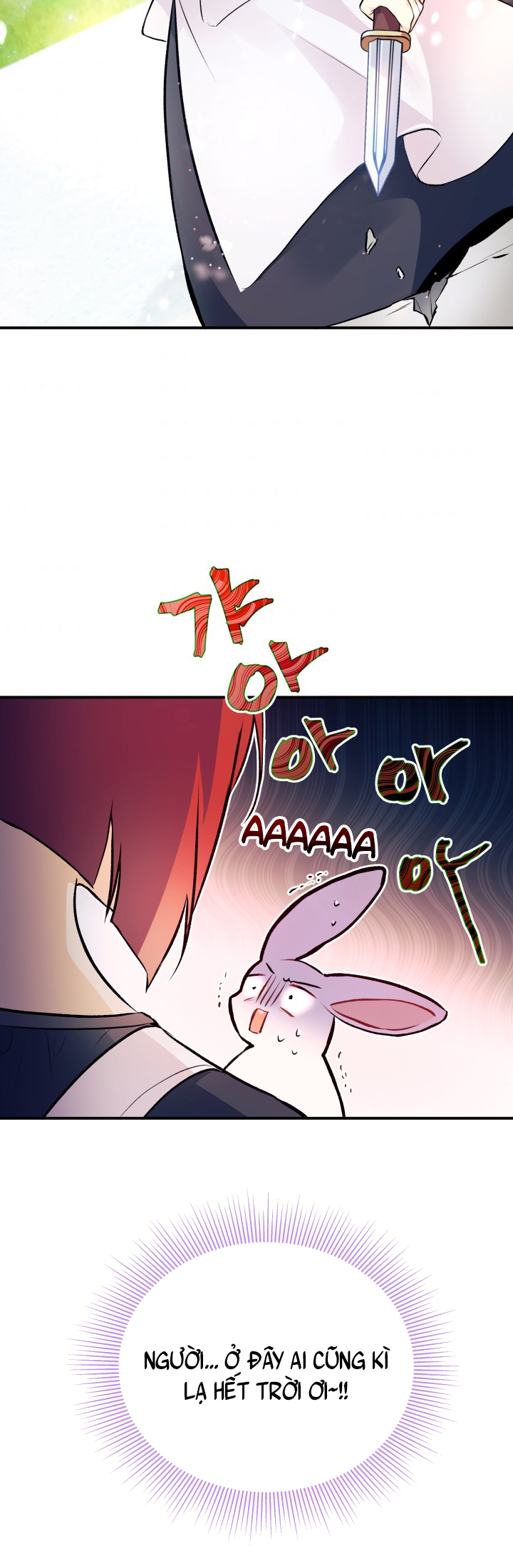 mối liên kết giữa báo đen và bé thỏ chapter 3 76