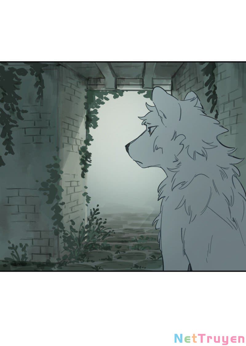 lumine - cội nguồn ánh sáng chapter 78 28