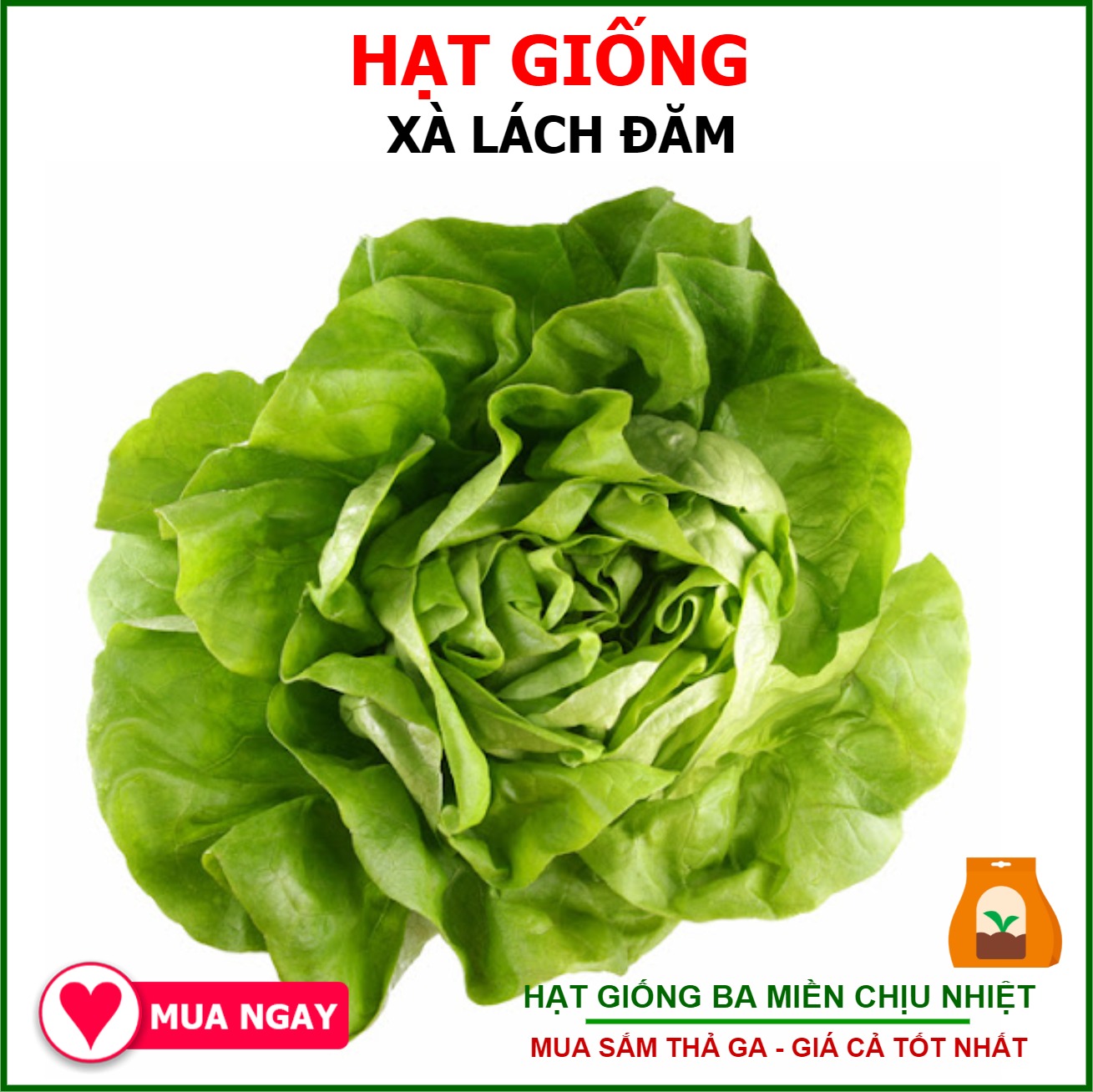 Hạt Giống Xà Lách Đăm Gói 2gram Chịu Nhiệt Tốt