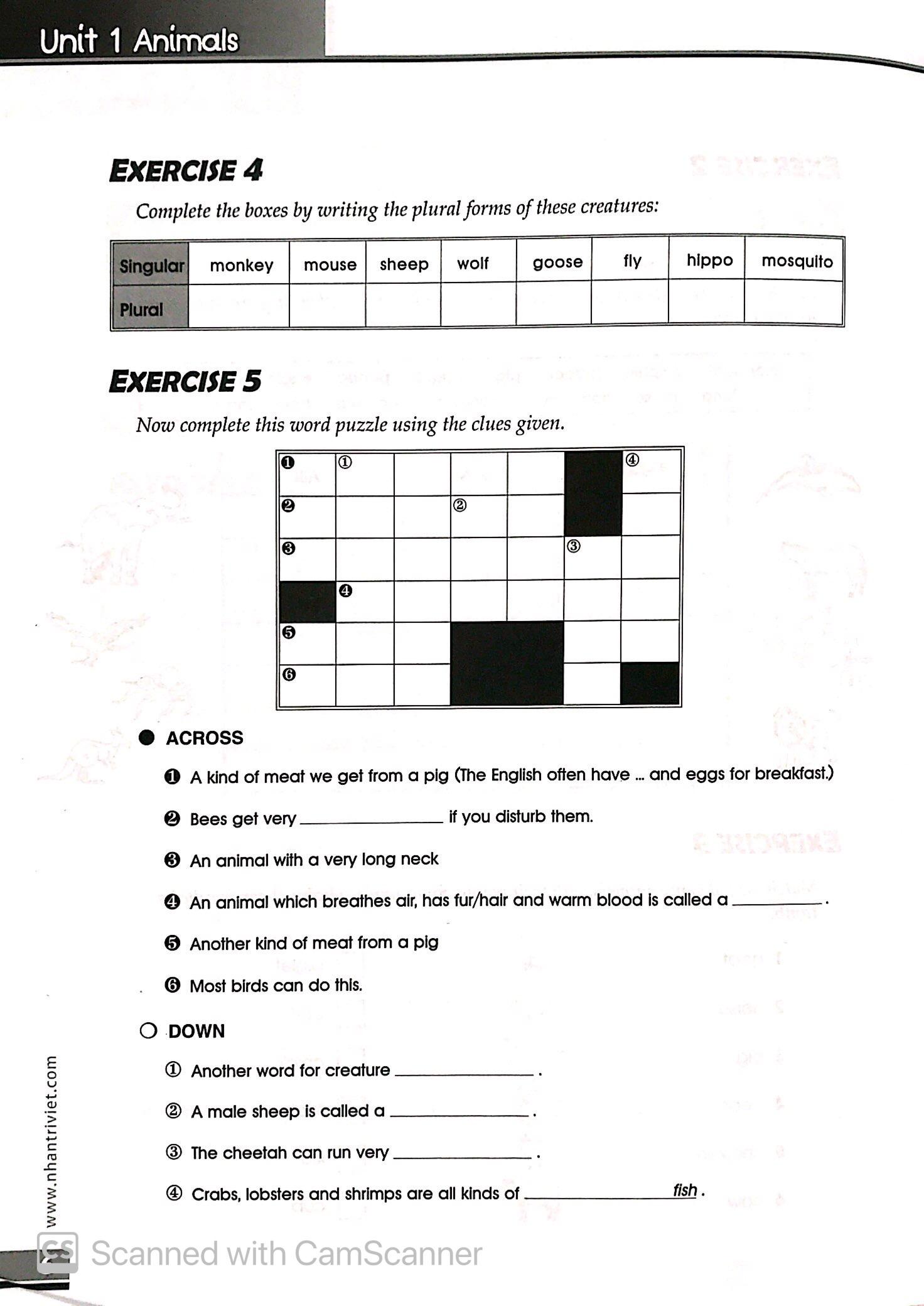 The Vocabulary Files A2 Pre - Intermediate (Không CD)