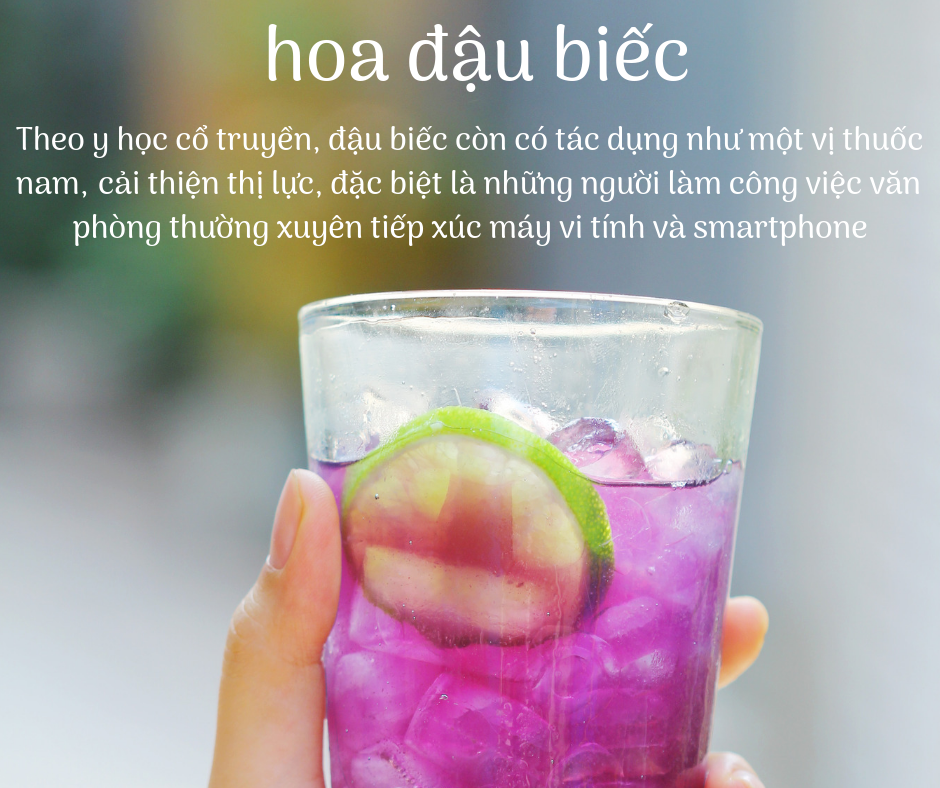 Bột Hoa Đậu Biếc Nguyên Chất Sấy Lạnh Dalahouse - Chống Lão Hóa Sớm, An Thần, Lọc Gan - Hộp 60GR (20 Gói Tiện Lợi)