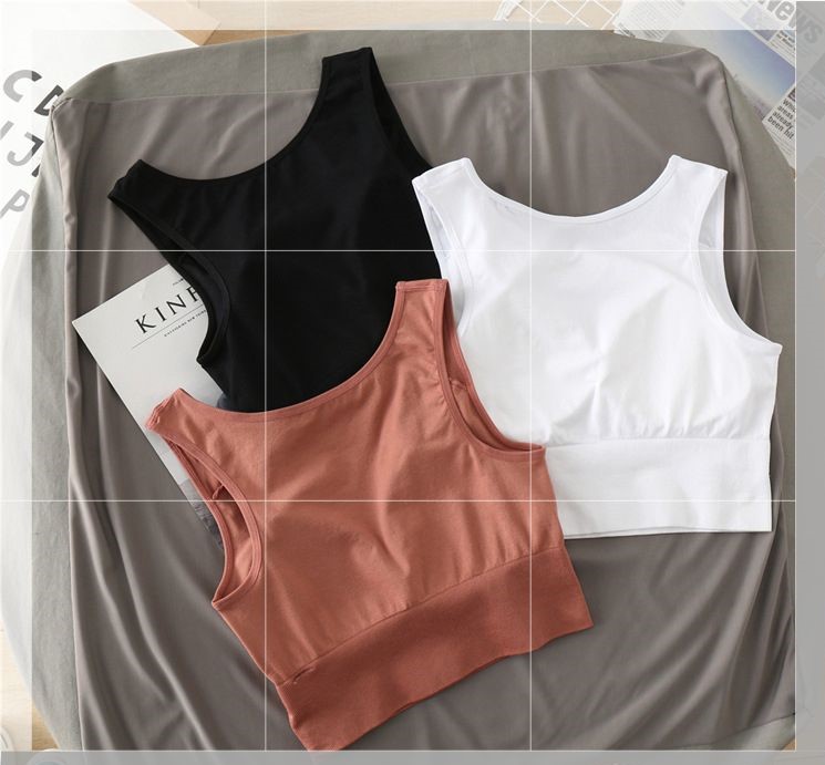 Áo Bra thể thao thiết kế dáng croptop tôn vòng eo cá tính dành cho nữ- 3682- Lê Ngọc Fashion