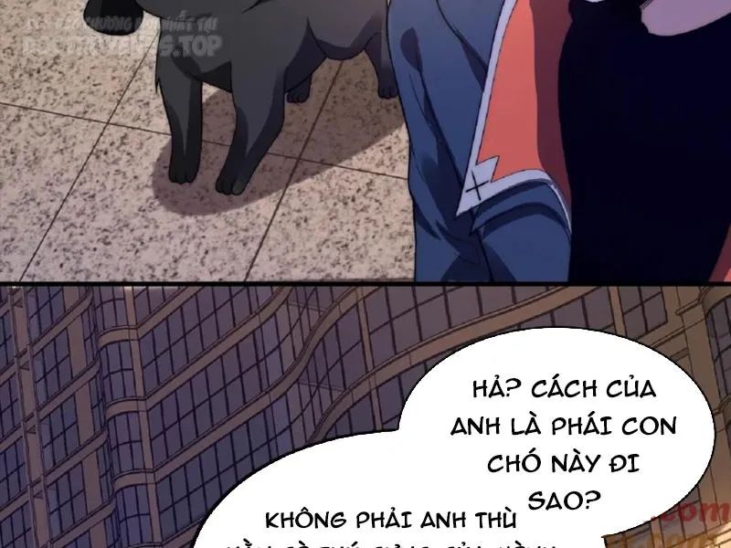 không gian hệ lão lục: dự trữ một vạn tấn thịt ngày tận thế chapter 51 23