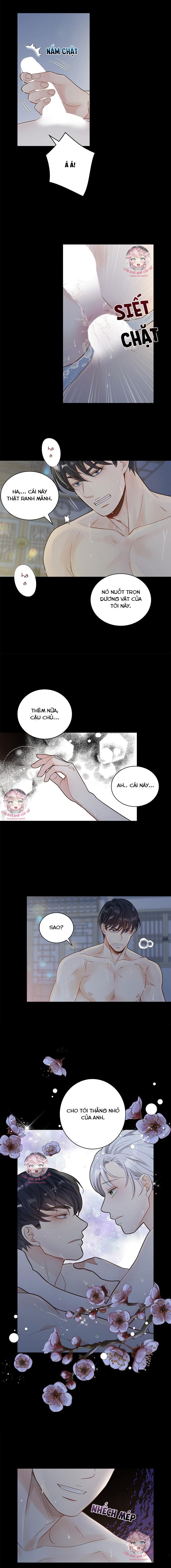 hôn nhân bị đánh cắp của hồ ly chapter 1 10