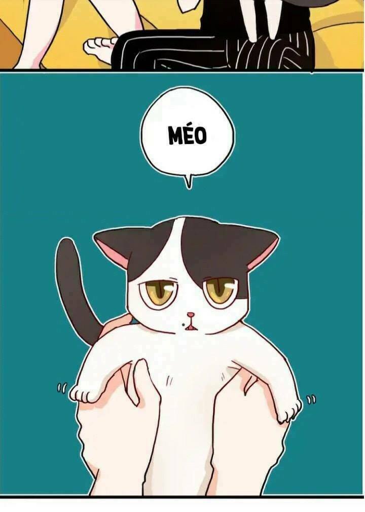 gấu nhỏ dư và thỏ thỏ hứa chapter 12 21