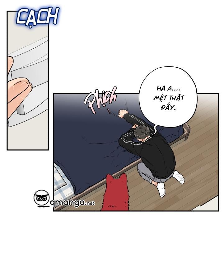 gâu gâu! chapter 19 16