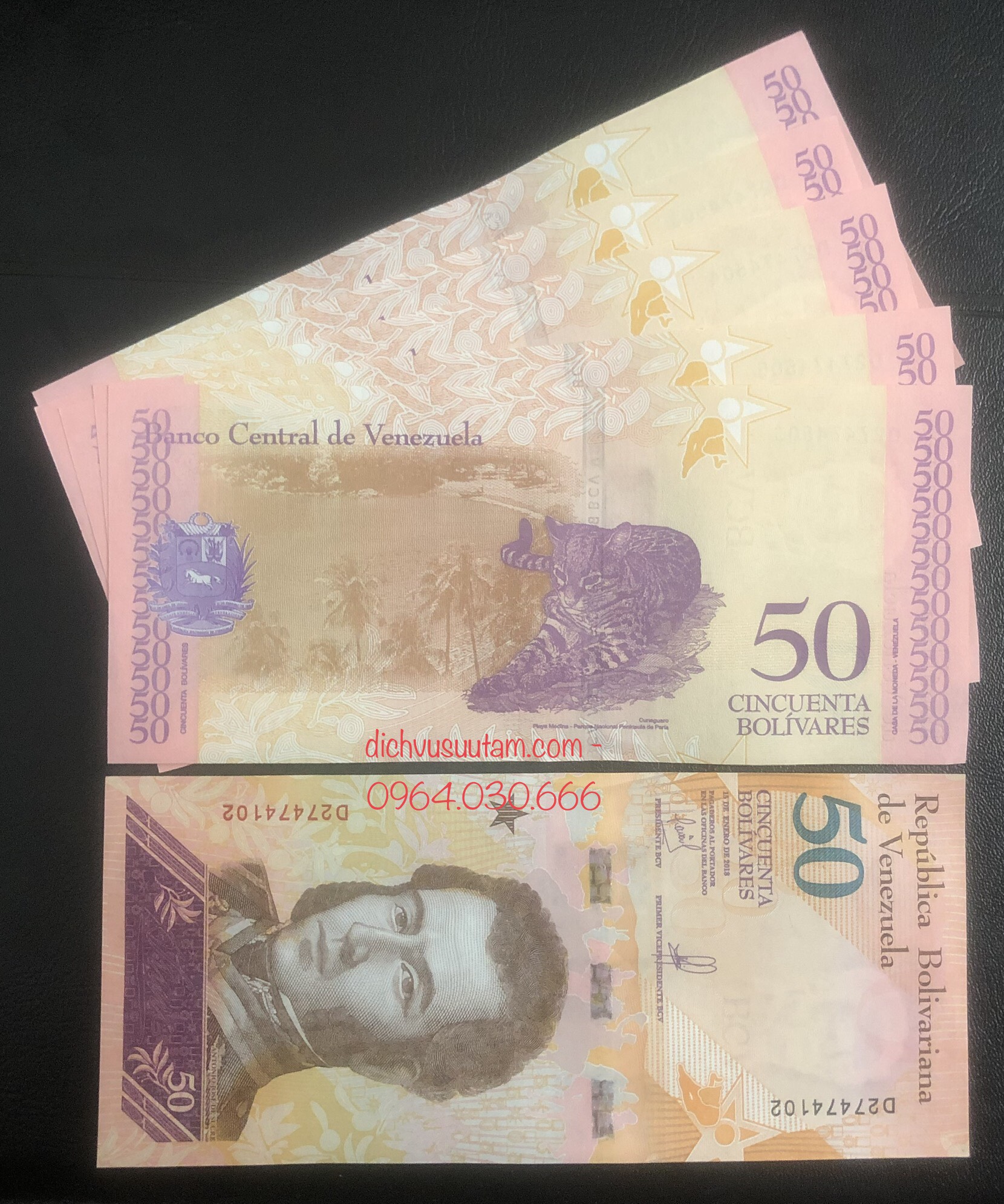 Tiền con Mèo lì xì Tết 2023 của Venezuela 50 bolivares mới cứng, tặng kèm phơi bảo quản tiền