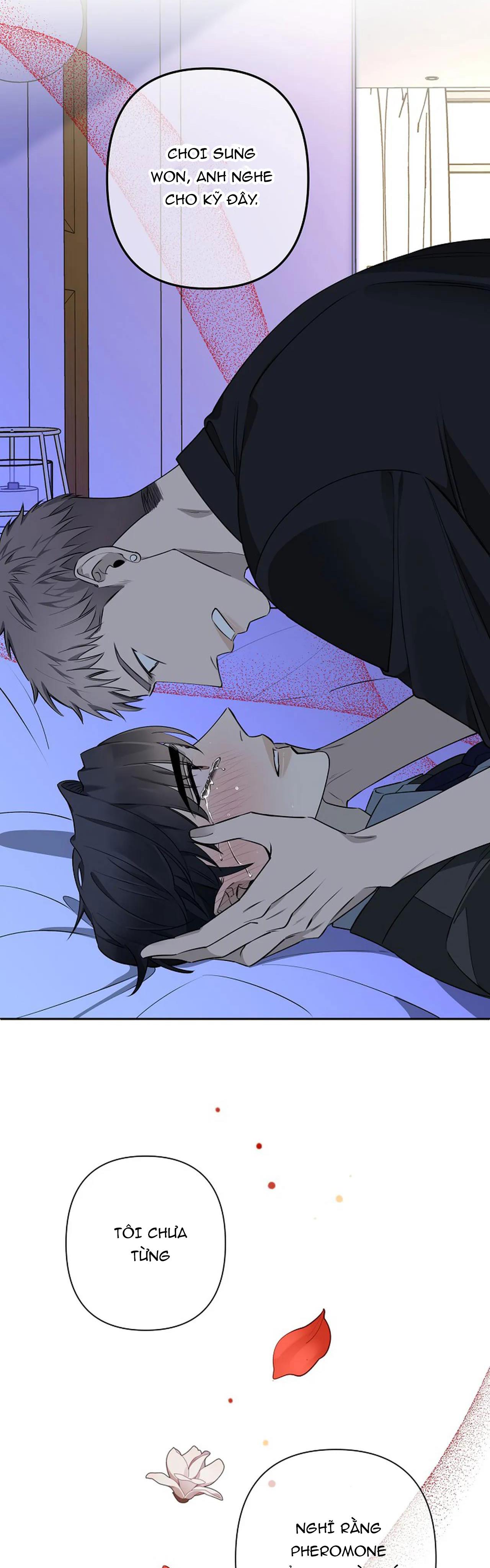 đêm dịu dàng chapter 38 22