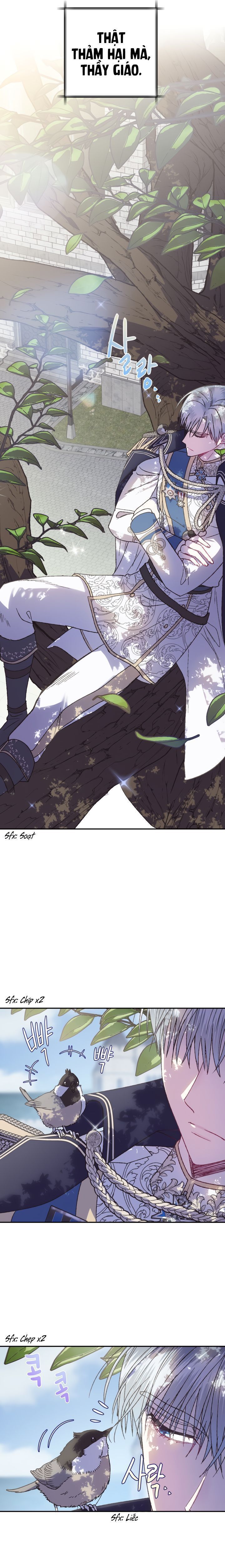 cha à, con không muốn kết hôn đâu chapter 15 13