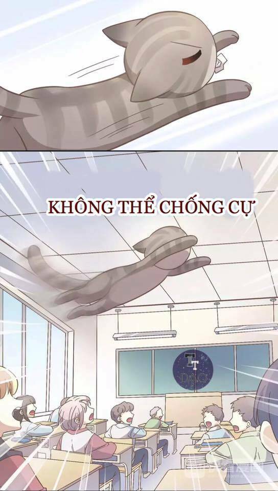 dưới móng vuốt mèo chapter 21 39