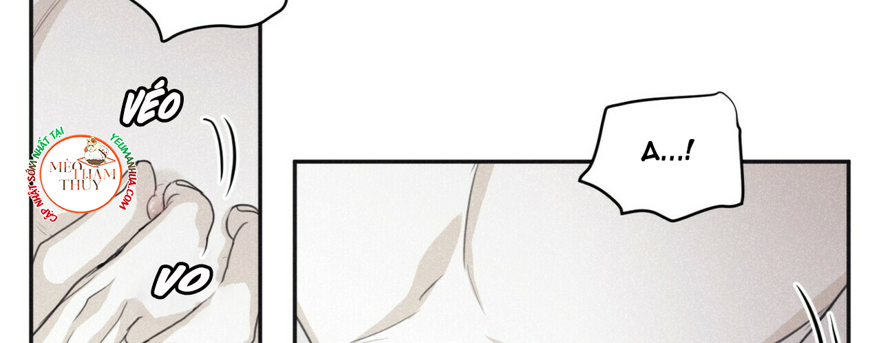 chiếu tướng chapter 44 102