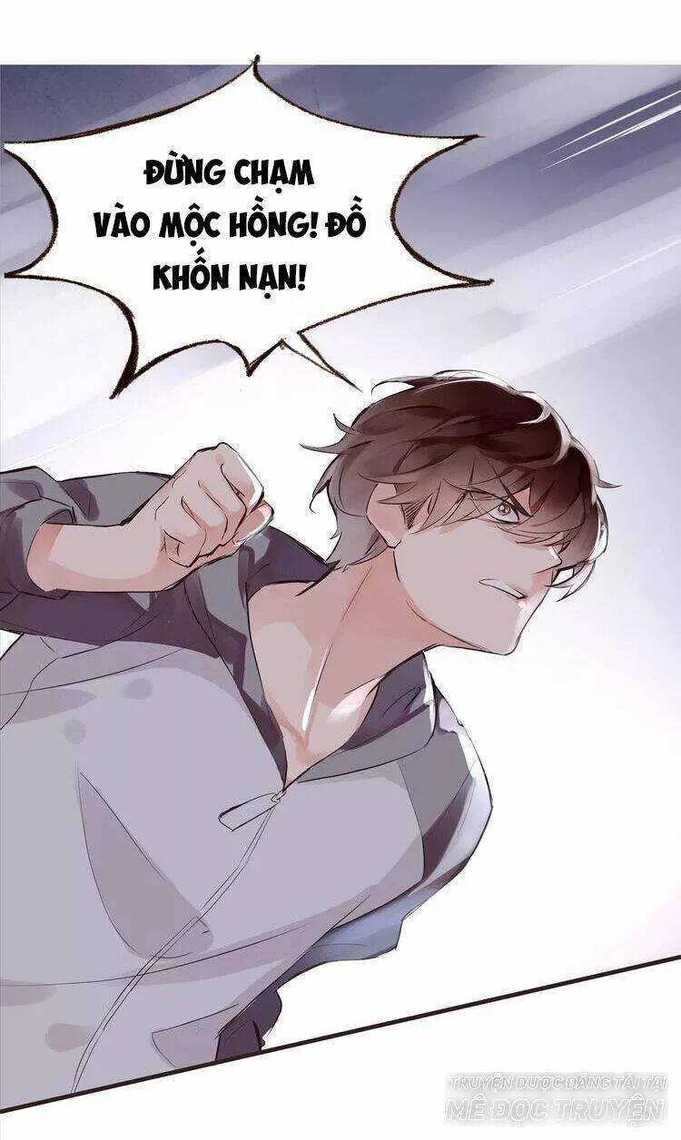 nở rộ trên bụi gai chapter 46 6