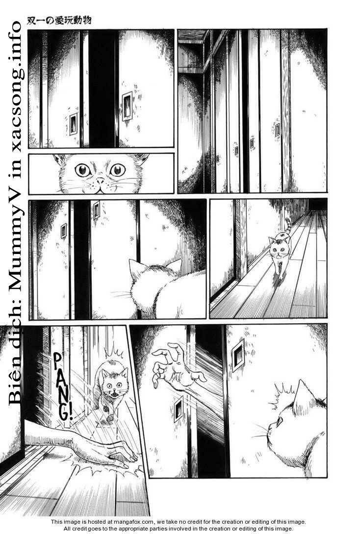 new voices in the dark chapter 2 5