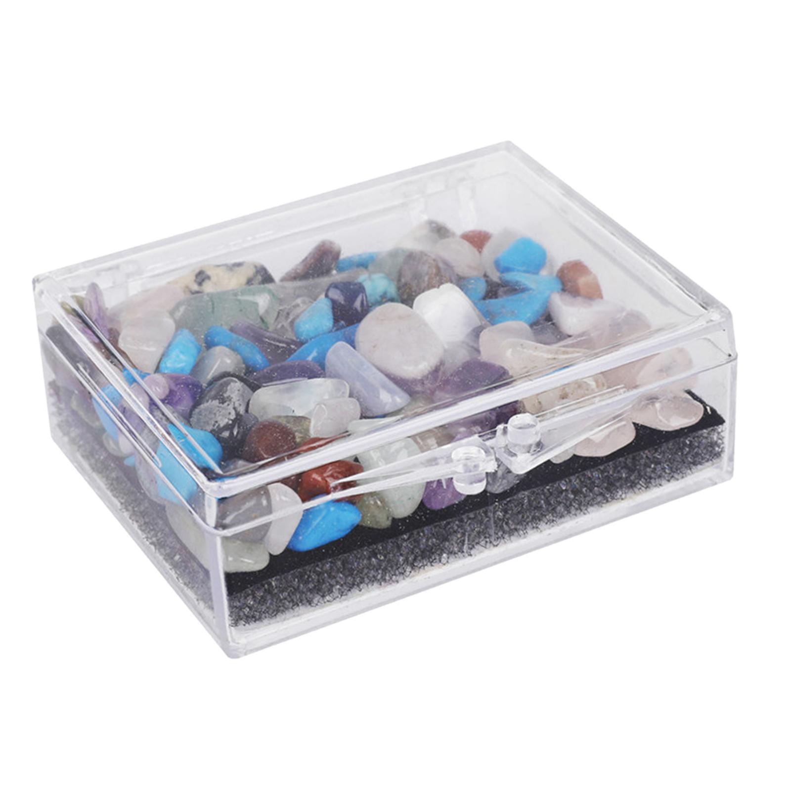 Rock and Mineral Educational Collection Science Ornament Stem for Gift Girls