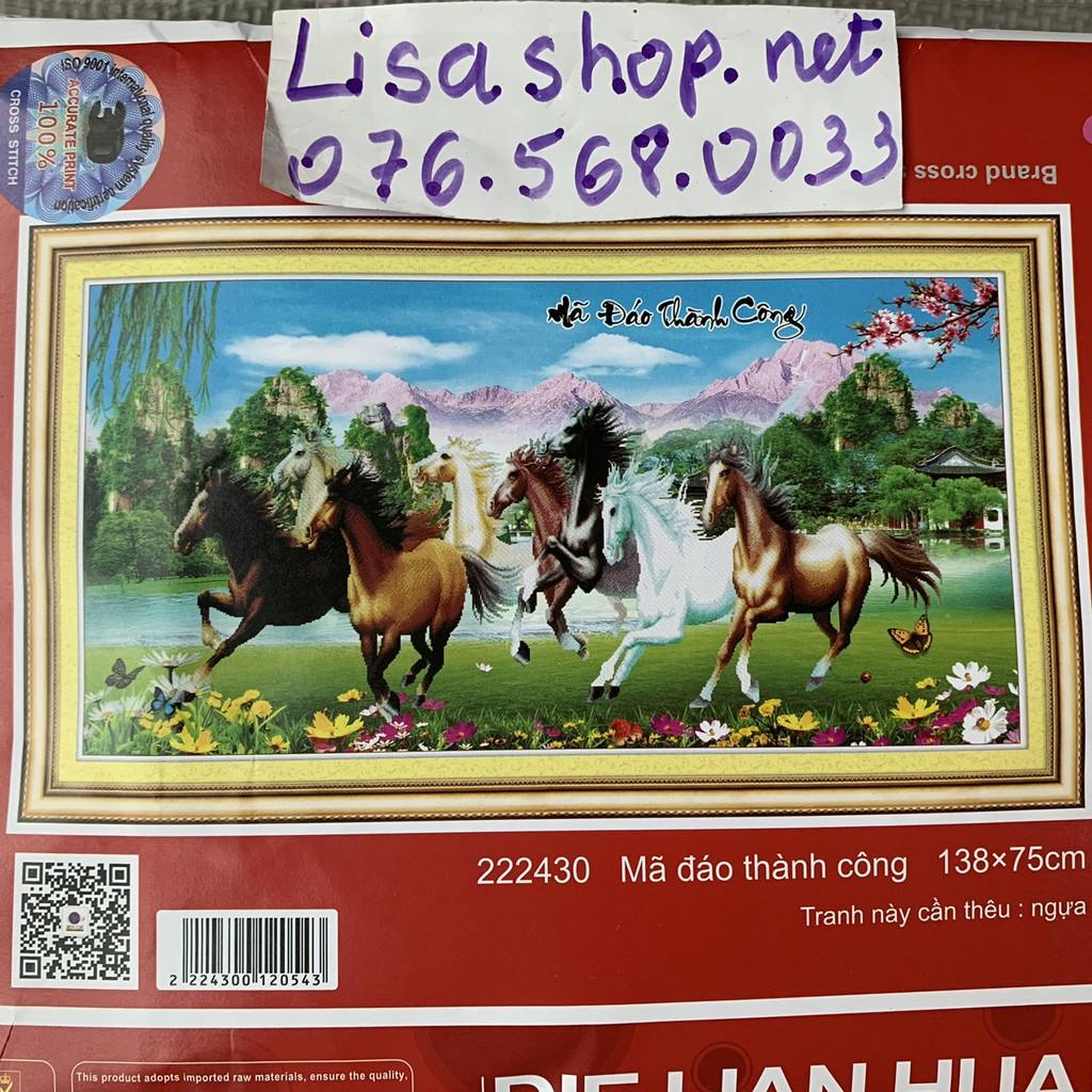 Tranh thêu MÃ ĐÁO THÀNH CÔNG 1m38x57cm chưa thêu 222430