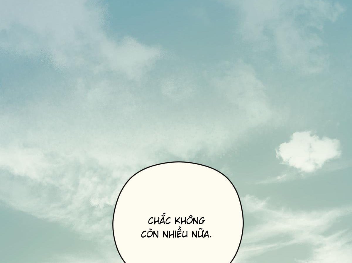 tương phùng chapter 37 137