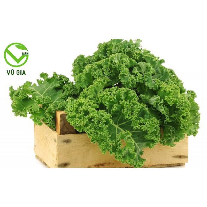 Bột Cải Xoăn Sấy Lạnh Nguyên Chất Vũ Gia