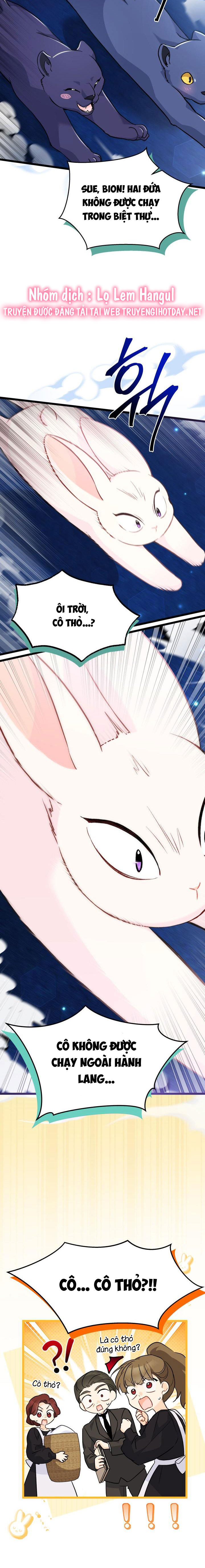 mối liên kết giữa báo đen và bé thỏ chapter 134 12