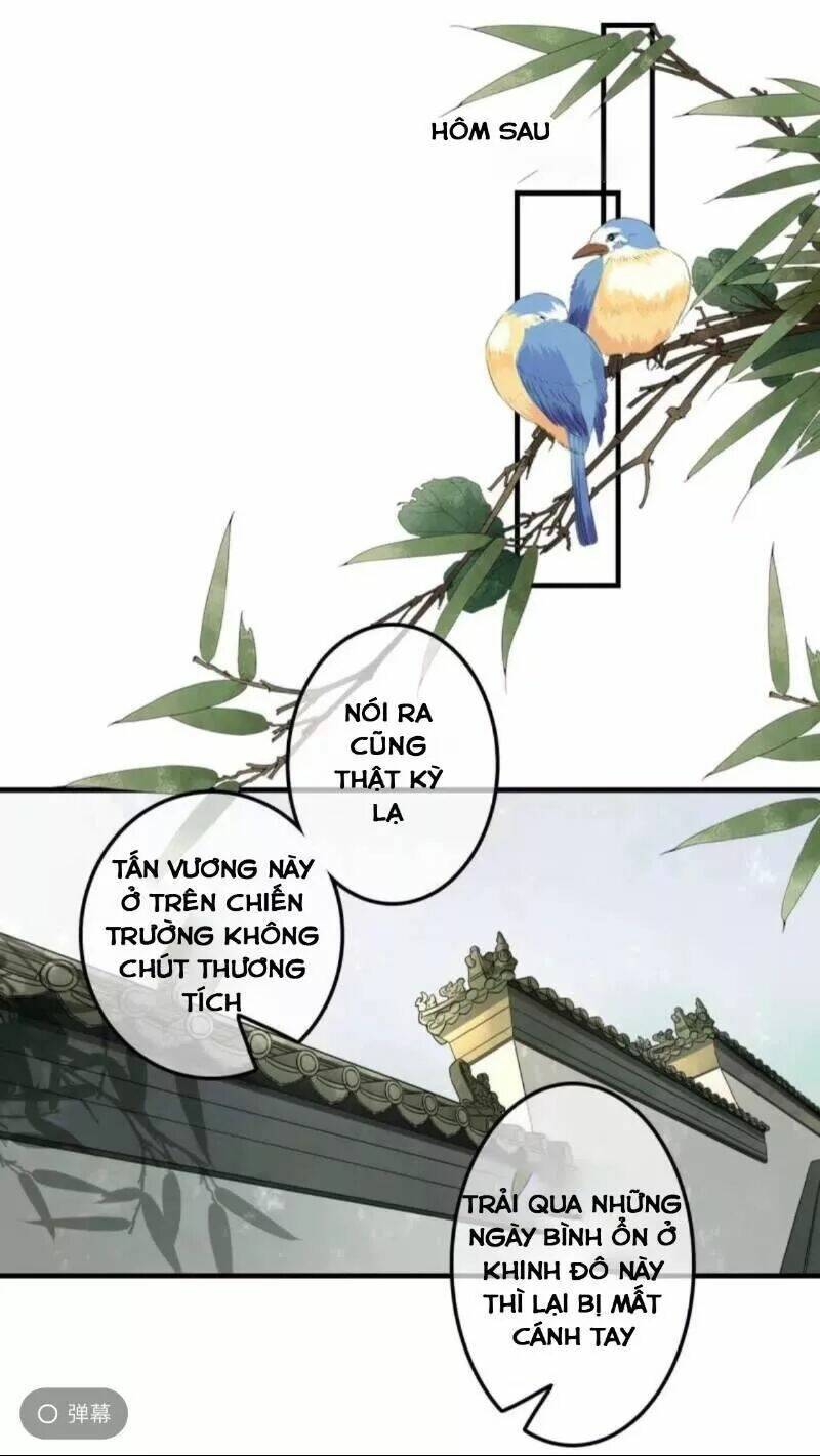 sủng phi của vương chapter 134 1