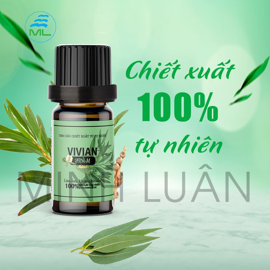 Tinh dầu tràm thiên nhiên Vivian 10 ml