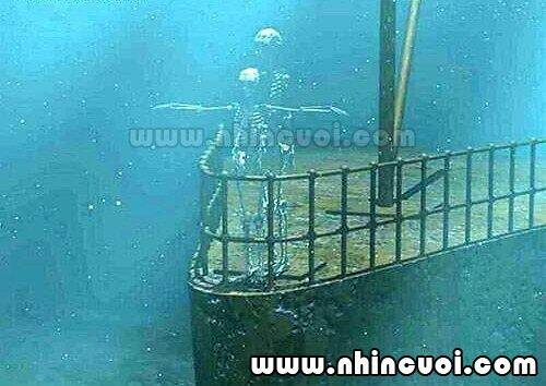 hình ảnh hài hước new chapter 15 8