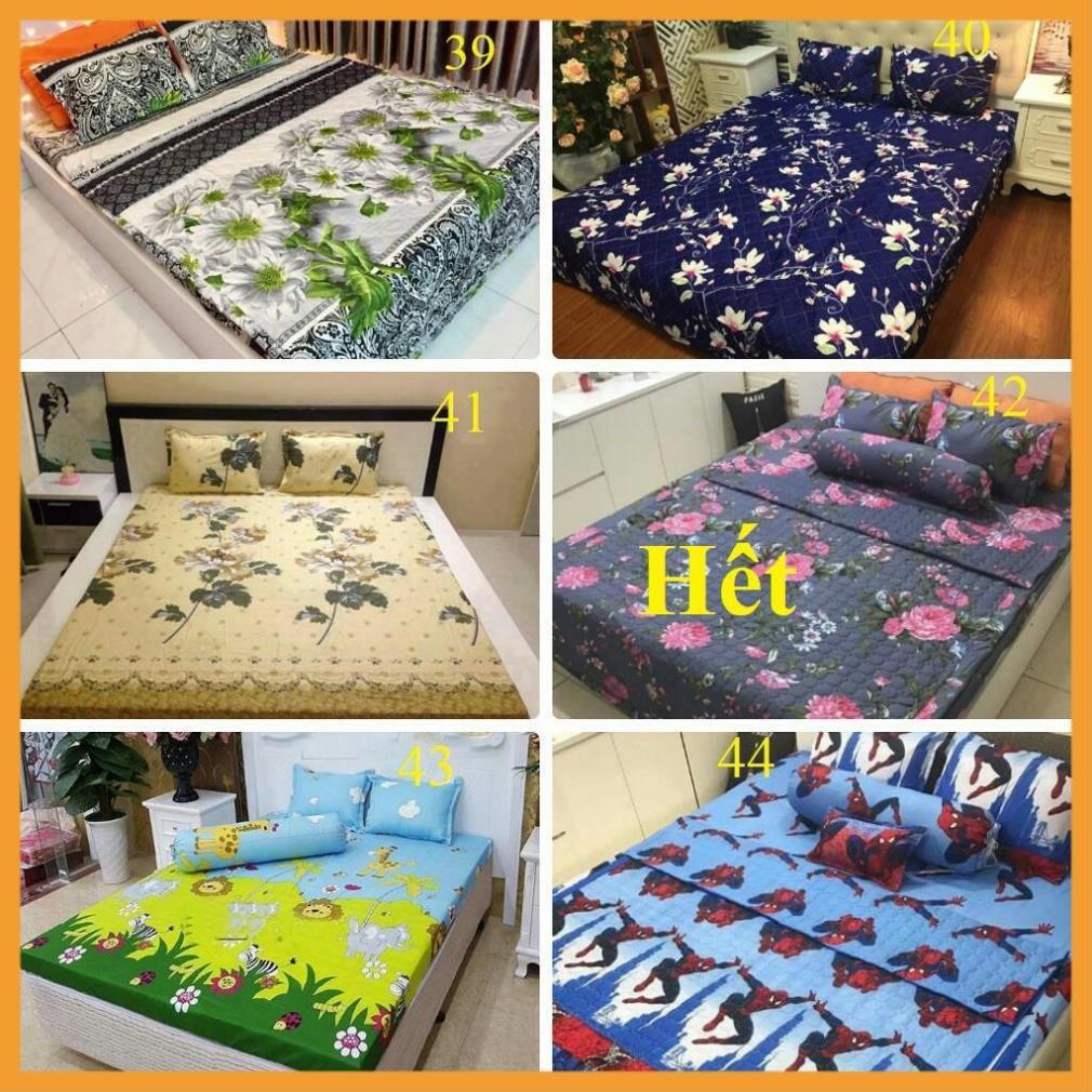 Bộ ga chun bọc đệm trải giường kèm 2 vỏ gối mẫu Mèo Cốc