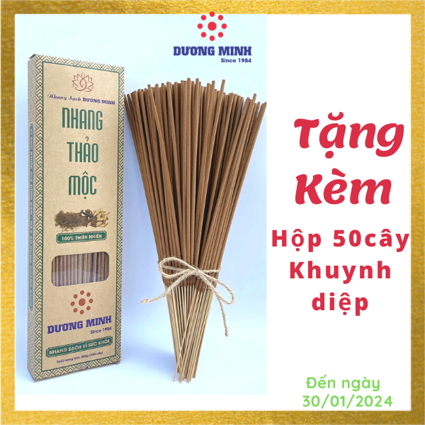 Nhang thơm hương tết xưa - Nhang Thảo Mộc Dương Minh 180cây 30cm nhang sạch 100% thành phần tự nhiên từ các loại thảo dược