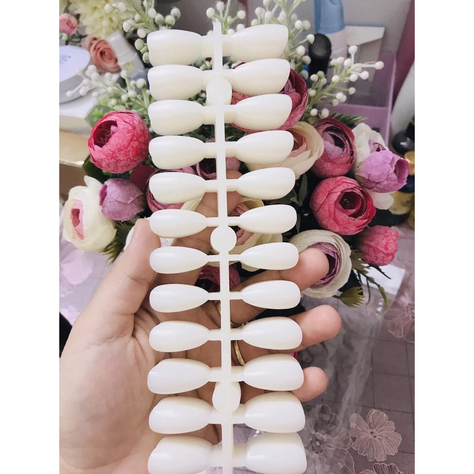 Set 5 vỉ Móng giả tập sơn và gắn sổ thông dụng 24 móng 1 vỉ