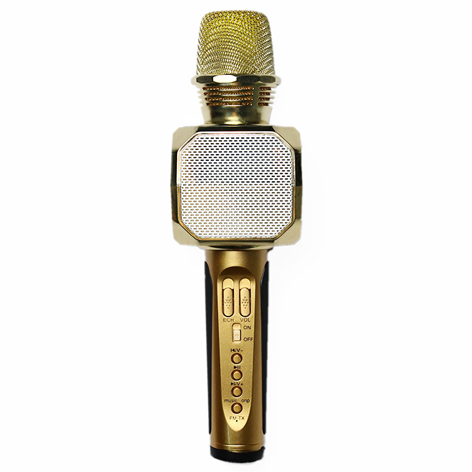 Mic Hát Karaoke Không Dây Gia Đình Có Loa Bluetooth Nghe Nhạc