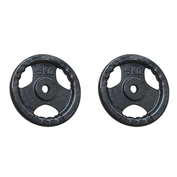 Bộ 2 bánh tạ gang 5kg Đại Nam Sport