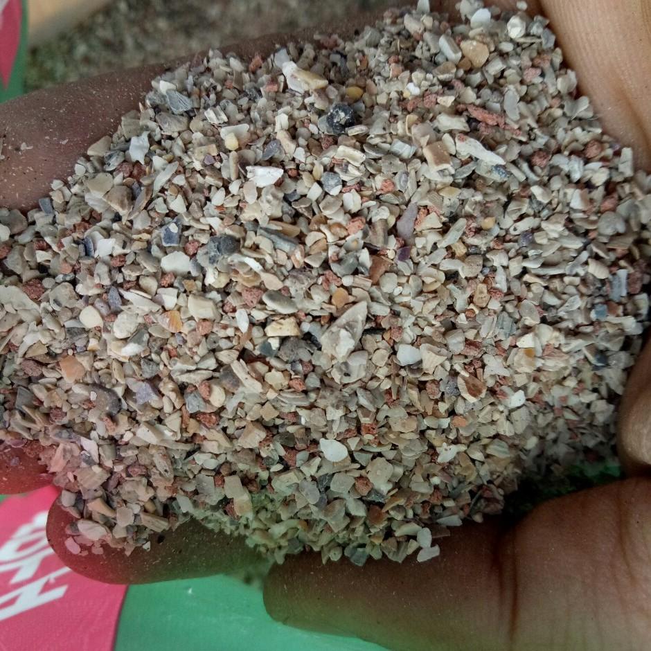 1KG KHOÁNG GRIF CHO VẸT, YẾN PHỤNG,BỒ CÂU, YẾN HÓT, BẢY MÀU,FINCH,C.U GÁY