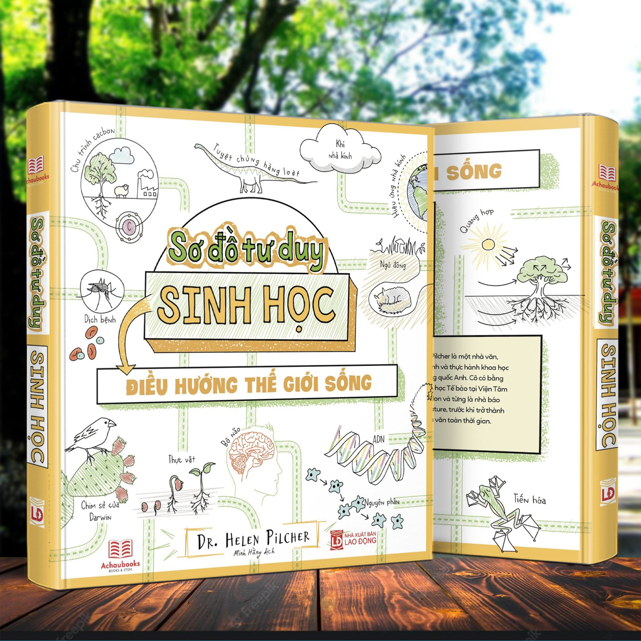 Combo 2 Cuốn Sơ Đồ Tư Duy Vật Lý + Sơ Đồ Tư Duy Sinh Học - Á Châu Book, Bìa cứng In Màu - Nâng Cao Kiến Thức Vật Lý và Sinh Học Bằng Sơ Đồ Tư Duy