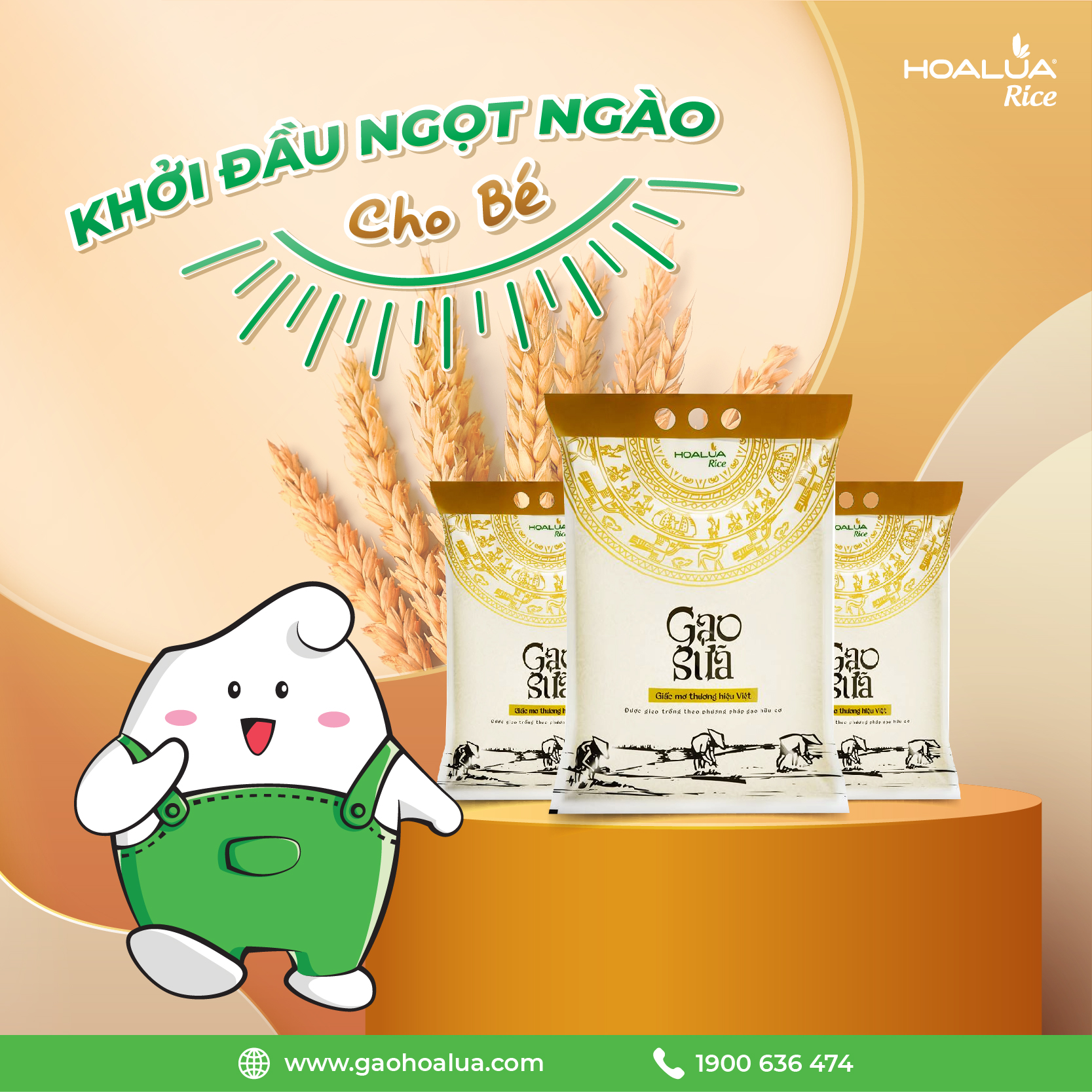 GẠO SỮA THƯỢNG HẠNG 5kg - Gạo Hoa Lúa