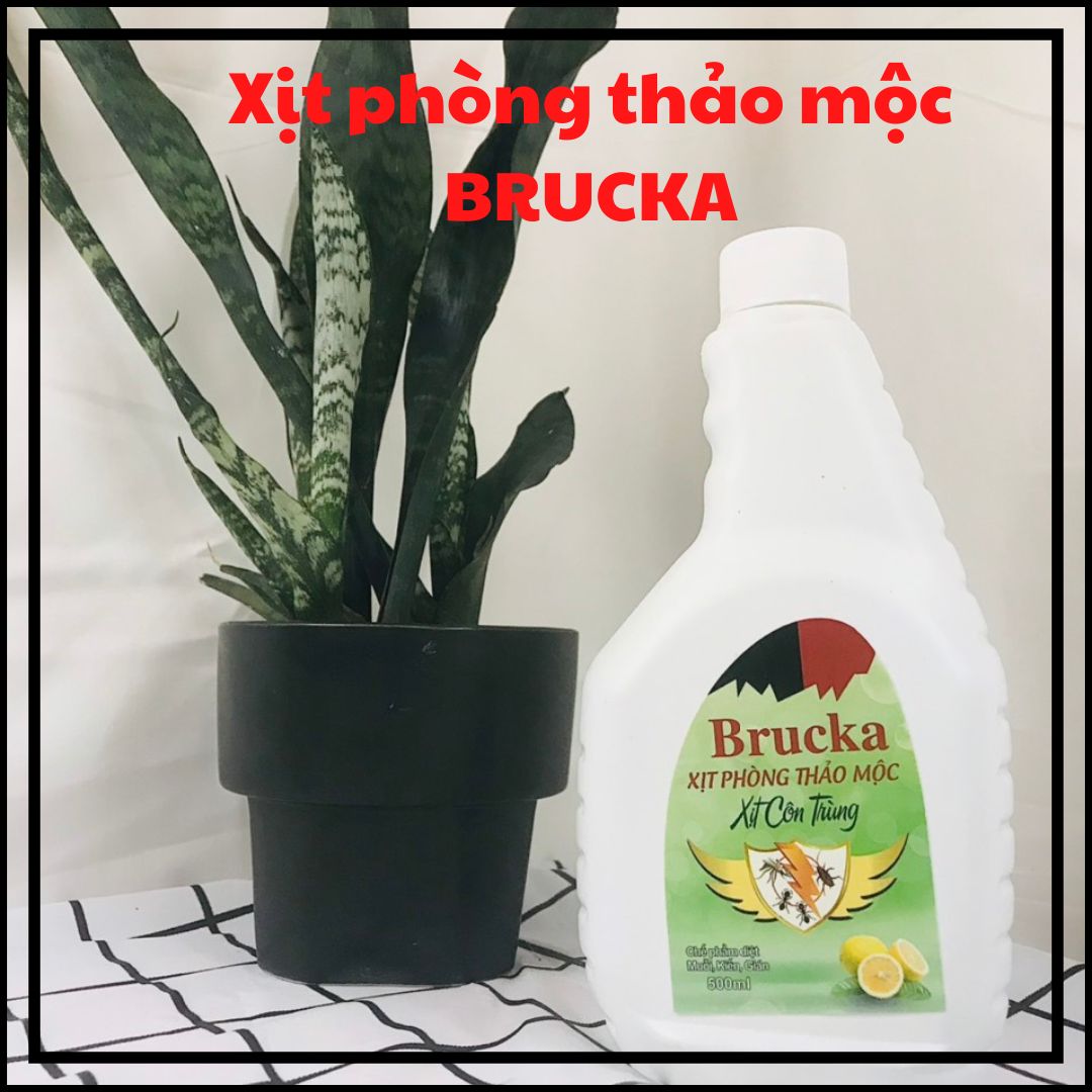 Xịt phòng thảo mộc, chế phẩm đuổi muỗi, kiến và gián 500ml