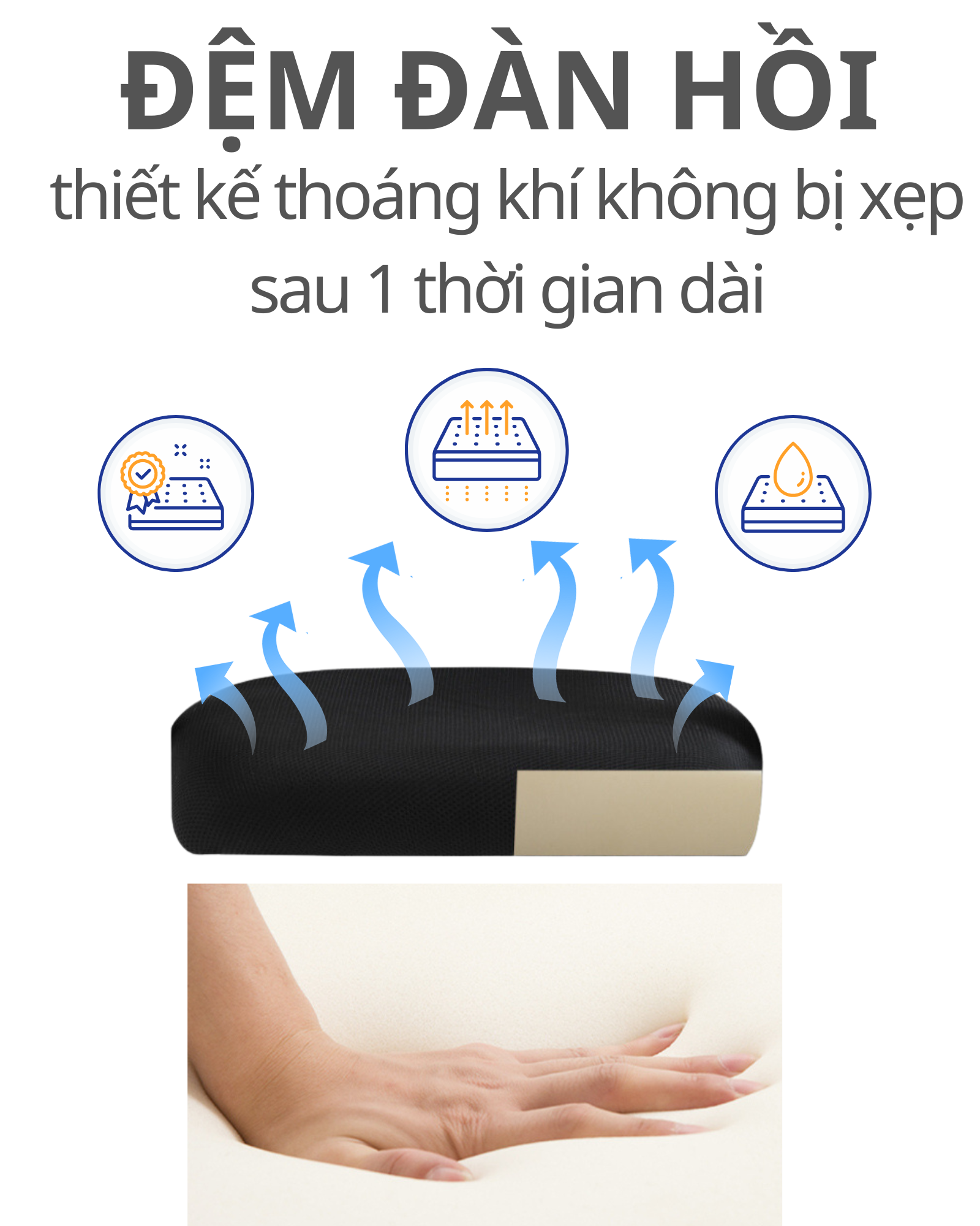 Ghế Công Thái Học CTH-13 Takara, Ghế Văn Phòng Chân Xoay, Ghế Làm Việc Xoay 360 Chất Lượng Cao