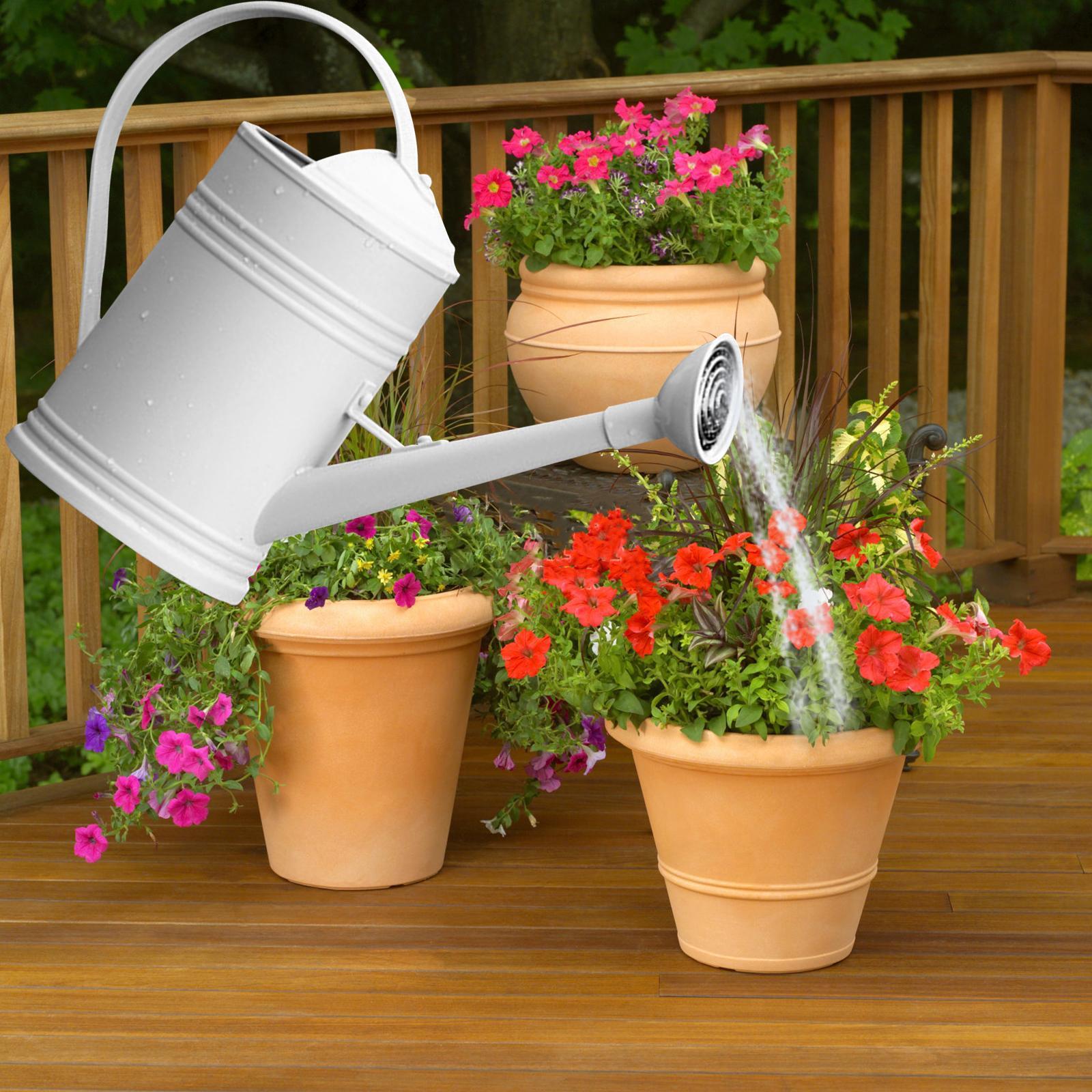 Watering Can Flower Watering Sprinkler Head for Indoor Garden