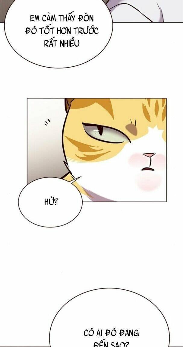 biến thân thành mèo chapter 176 59
