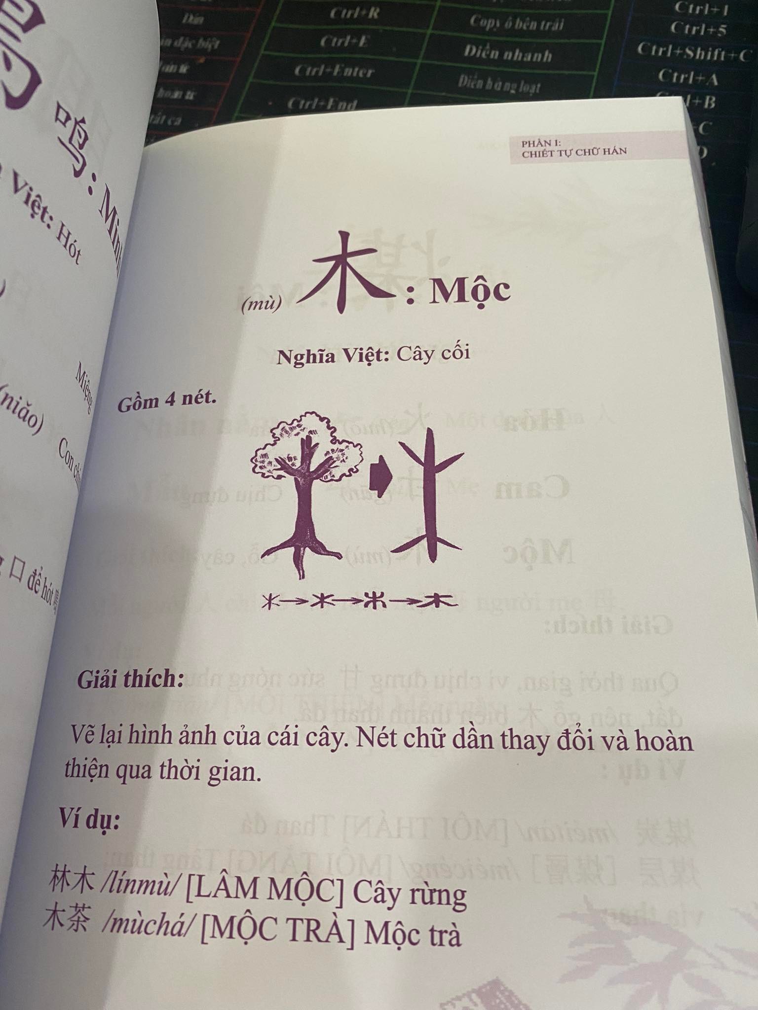 Sách-Combo:Nhớ Hán Tự Thông Qua Chiết Tự Chữ Hán+Vui học chữ Hán tập 1+ tập 2+DVD tài liệu